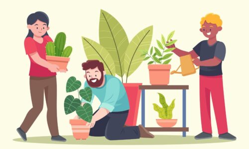 Gardening for Beginners